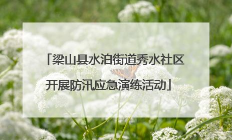 梁山县水泊街道秀水社区开展防汛应急演练活动