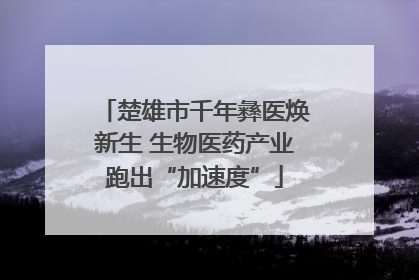 楚雄市千年彝医焕新生 生物医药产业跑出“加速度”
