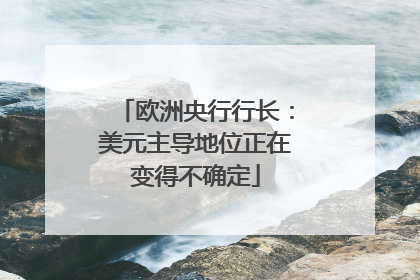 欧洲央行行长：美元主导地位正在变得不确定