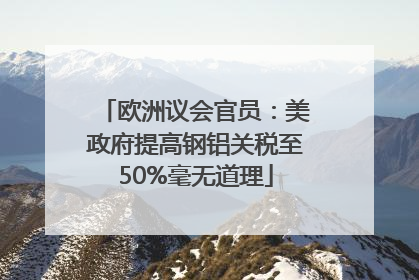 欧洲议会官员：美政府提高钢铝关税至50%毫无道理