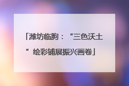 潍坊临朐：“三色沃土”绘彩铺展振兴画卷