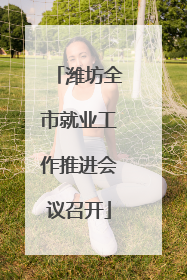 潍坊全市就业工作推进会议召开