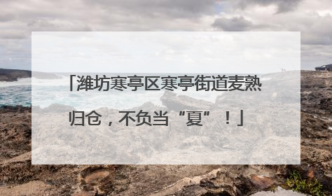 潍坊寒亭区寒亭街道麦熟归仓，不负当“夏”！