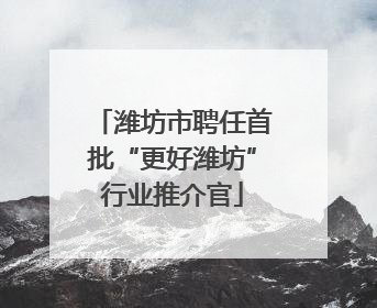 潍坊市聘任首批“更好潍坊”行业推介官