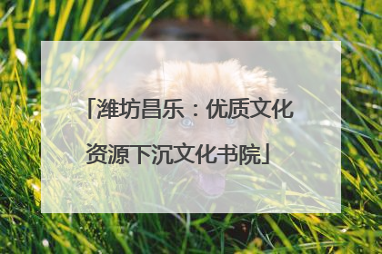 潍坊昌乐：优质文化资源下沉文化书院