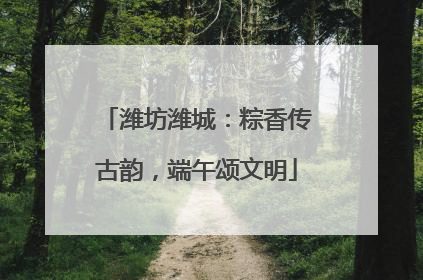 潍坊潍城：粽香传古韵，端午颂文明