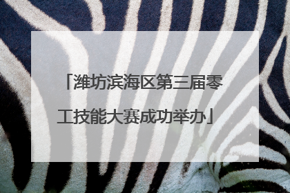 潍坊滨海区第三届零工技能大赛成功举办