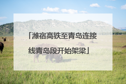 潍宿高铁至青岛连接线青岛段开始架梁