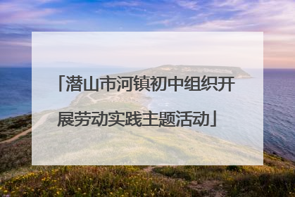 潜山市河镇初中组织开展劳动实践主题活动