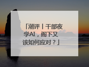 潮评丨干部夜学AI，阁下又该如何应对？