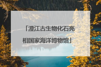 澄江古生物化石亮相国家海洋博物馆