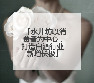 水井坊以消费者为中心，打造白酒行业新增长极