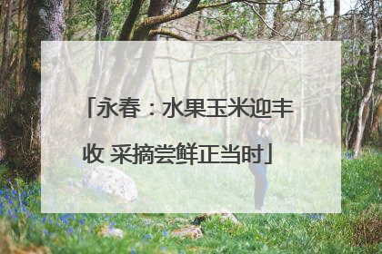 永春：水果玉米迎丰收 采摘尝鲜正当时