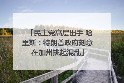 民主党高层出手 哈里斯：特朗普政府刻意在加州挑起混乱