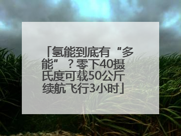 氢能到底有“多能”？零下40摄氏度可载50公斤续航飞行3小时