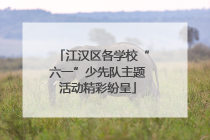 江汉区各学校“六一”少先队主题活动精彩纷呈