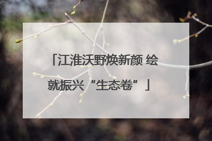 江淮沃野焕新颜 绘就振兴“生态卷”