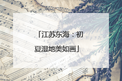 江苏东海：初夏湿地美如画