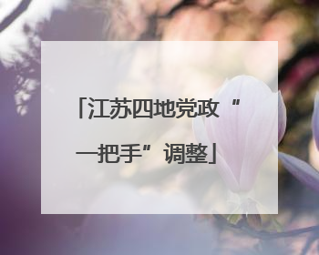 江苏四地党政“一把手”调整