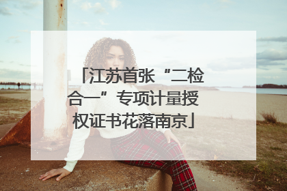江苏首张“二检合一”专项计量授权证书花落南京