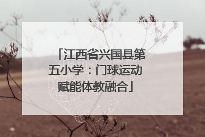 江西省兴国县第五小学：门球运动赋能体教融合