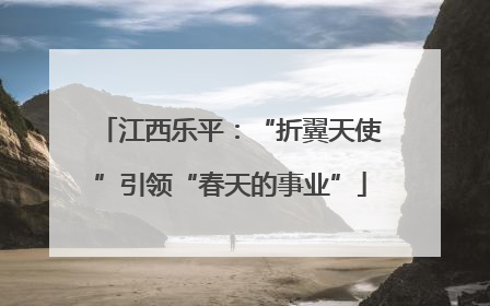 江西乐平：“折翼天使”引领“春天的事业”