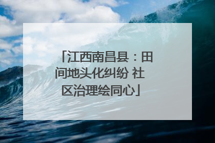 江西南昌县：田间地头化纠纷 社区治理绘同心