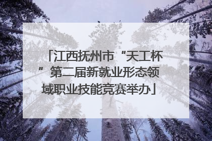 江西抚州市“天工杯”第二届新就业形态领域职业技能竞赛举办