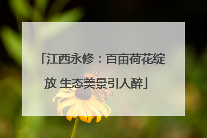 江西永修：百亩荷花绽放 生态美景引人醉