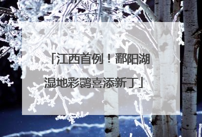 江西首例！鄱阳湖湿地彩鹮喜添新丁