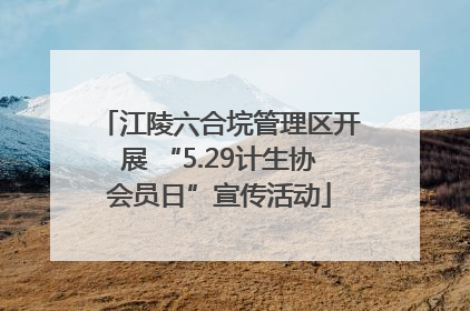 江陵六合垸管理区开展 “5.29计生协会员日”宣传活动