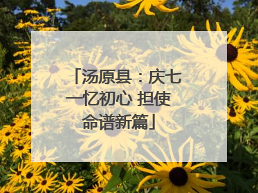 汤原县：庆七一忆初心 担使命谱新篇