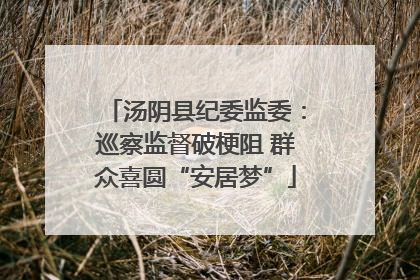 汤阴县纪委监委：巡察监督破梗阻 群众喜圆“安居梦”