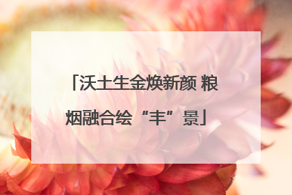 沃土生金焕新颜 粮烟融合绘“丰”景