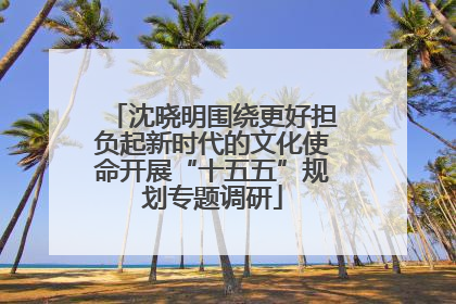 沈晓明围绕更好担负起新时代的文化使命开展“十五五”规划专题调研
