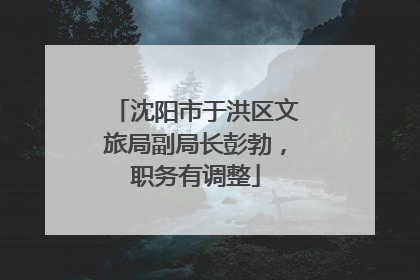 沈阳市于洪区文旅局副局长彭勃，职务有调整