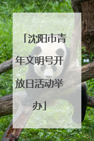 沈阳市青年文明号开放日活动举办