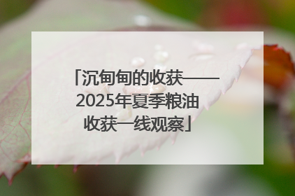 沉甸甸的收获——2025年夏季粮油收获一线观察