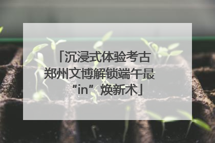 沉浸式体验考古 郑州文博解锁端午最“in”焕新术