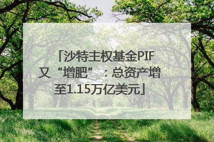 沙特主权基金PIF又“增肥”：总资产增至1.15万亿美元