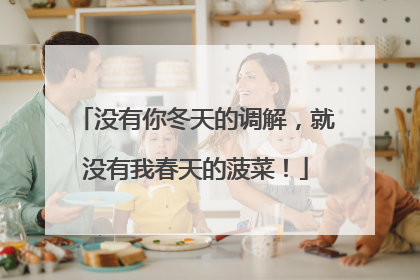 没有你冬天的调解，就没有我春天的菠菜！