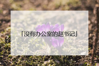 没有办公室的赵书记