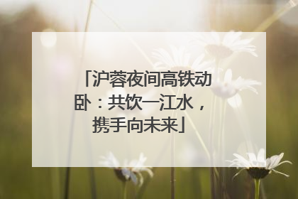 沪蓉夜间高铁动卧：共饮一江水，携手向未来