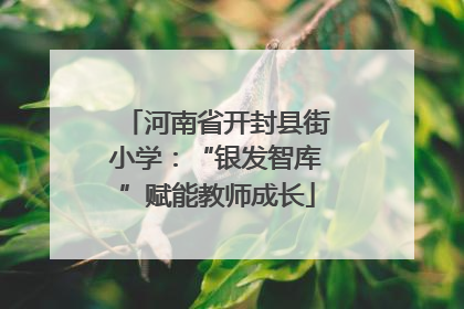 河南省开封县街小学：“银发智库”赋能教师成长