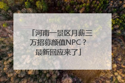 河南一景区月薪三万招募颜值NPC？最新回应来了