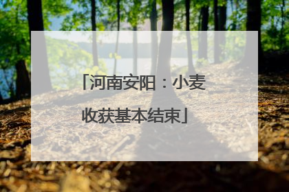 河南安阳：小麦收获基本结束