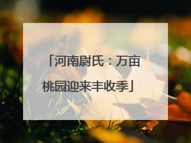 河南尉氏：万亩桃园迎来丰收季