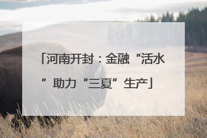 河南开封：金融“活水”助力“三夏”生产