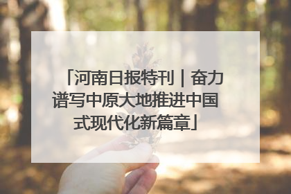 河南日报特刊｜奋力谱写中原大地推进中国式现代化新篇章
