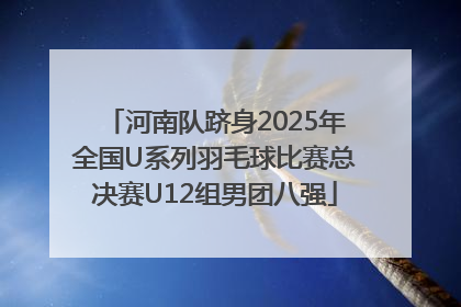 河南队跻身2025年全国U系列羽毛球比赛总决赛U12组男团八强